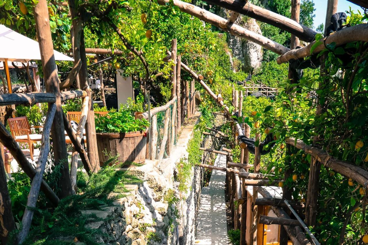 Poggio Angelarosa: Lemon Garden Stay&Relax Scala Dış mekan fotoğraf