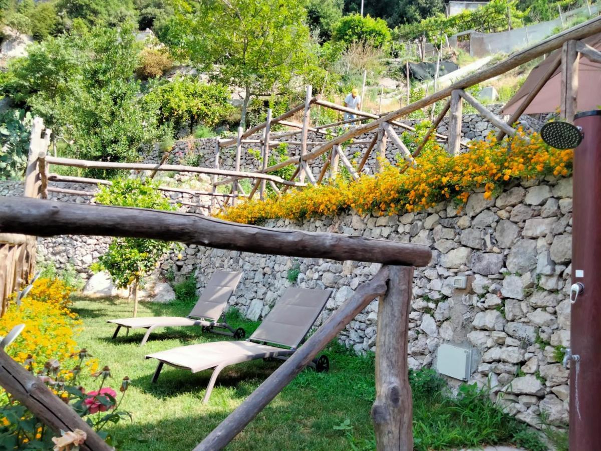Poggio Angelarosa: Lemon Garden Stay&Relax Scala Dış mekan fotoğraf
