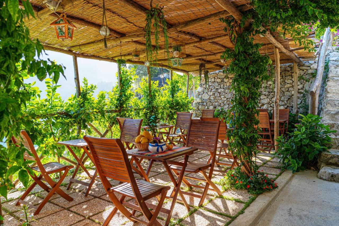 Poggio Angelarosa: Lemon Garden Stay&Relax Scala Dış mekan fotoğraf