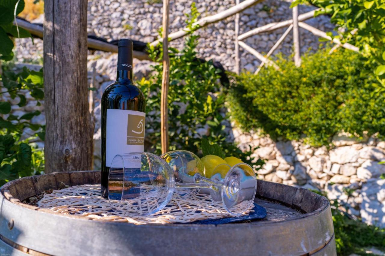 Poggio Angelarosa: Lemon Garden Stay&Relax Scala Dış mekan fotoğraf